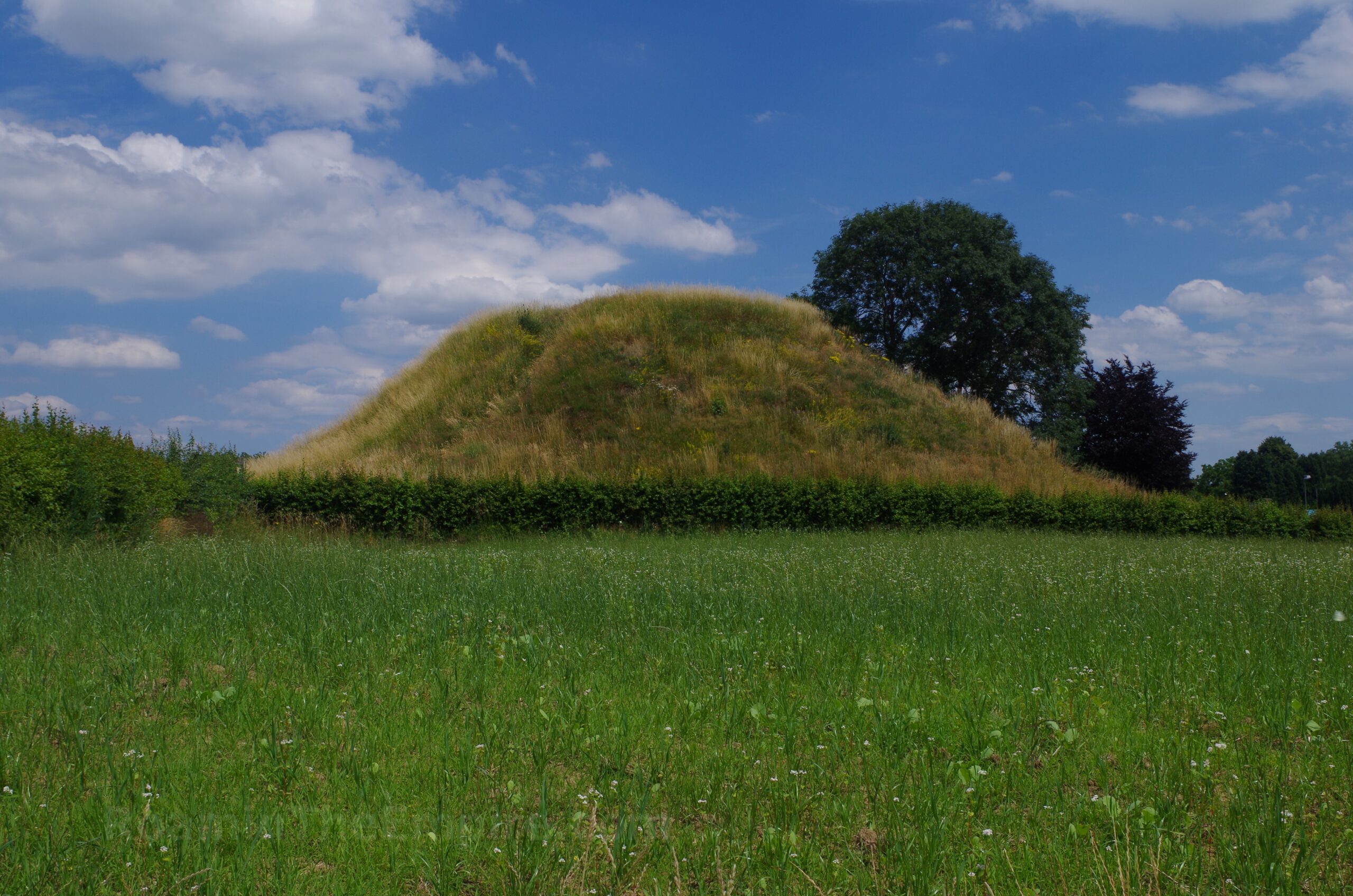 Tumulus along Romeinse Kassei. Aduatuca Tungrorum.